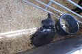 eifel_2015_margriet_280