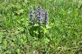 eifel_2015_margriet_284
