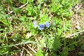 eifel_2015_margriet_285