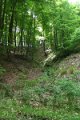 eifel_2015_margriet_298
