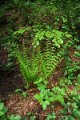 eifel_2015_margriet_299