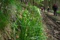 eifel_2015_margriet_302