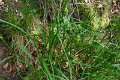 eifel_2015_margriet_303