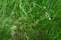 eifel_2015_margriet_312