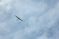 eifel_2015_margriet_313