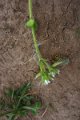 eifel_2015_margriet_319