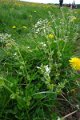 eifel_2015_margriet_322