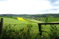 eifel_2015_margriet_340