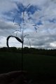eifel_2015_margriet_344