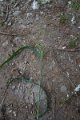 eifel_2015_margriet_345