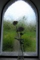 eifel_2015_margriet_349