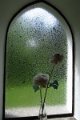 eifel_2015_margriet_351