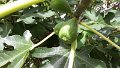 20160904_111742