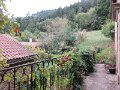 IMG_5006