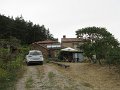 IMG_5011