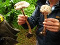 sauerland_2010_margriet_041