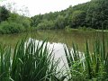 sauerland_2010_margriet_080