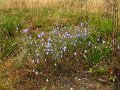 sauerland_2010_margriet_171