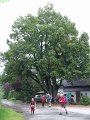sauerland_2010_willy_023