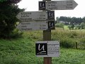 sauerland_2010_willy_028