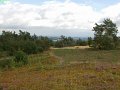sauerland_2010_willy_035