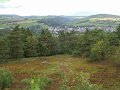 sauerland_2010_willy_036