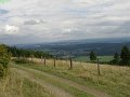 sauerland_2010_willy_037