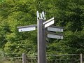 sauerland_2010_willy_040
