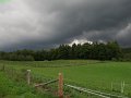 sauerland_2010_willy_044