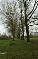 waarloos_2010_14