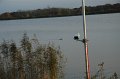 waarloos_2010_39