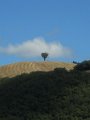 DSCN1685