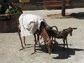 DSCN1693