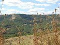 DSCN1737