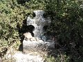 DSCN1754