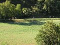 DSCN5287