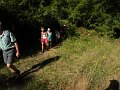DSCN5289