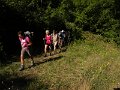 DSCN5291