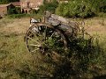DSCN5294
