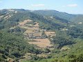 IMG_0955