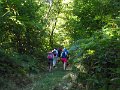 IMG_5137