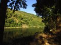 IMG_5154