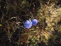 IMG_5163