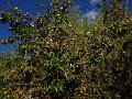 IMG_5194
