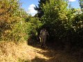IMG_5223