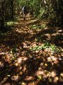 IMG_5224