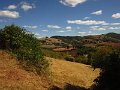 IMG_5226