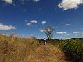 IMG_5229