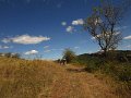 IMG_5230