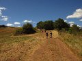 IMG_5236
